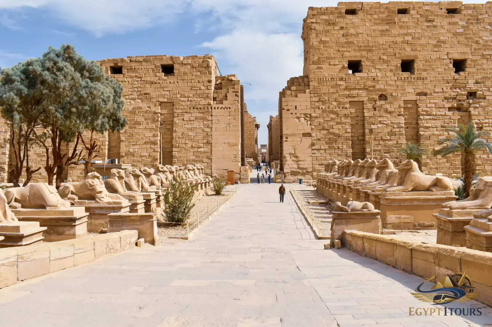 Luxor East Bank Private Tour: Karnak and Luxor Temples with Expert Guide