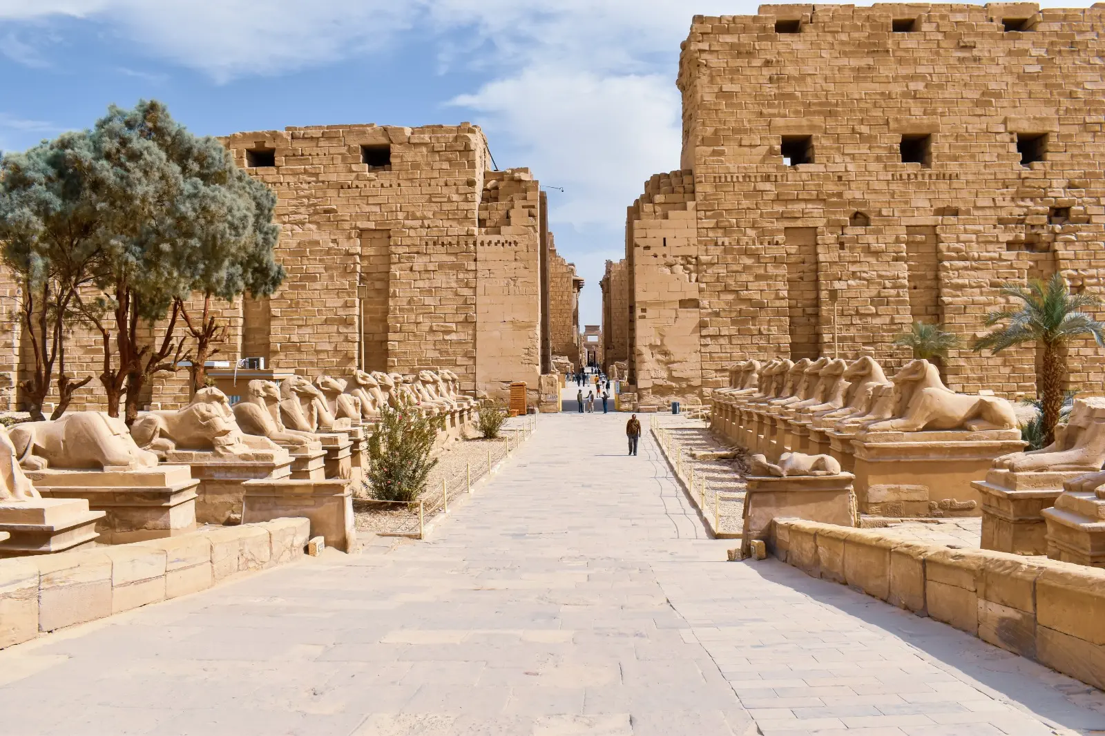 Luxor East Bank Private Tour: Karnak and Luxor Temples with Expert Guide