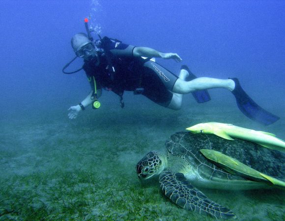 Port Ghalib Intro Diving Trip from Marsa Alam