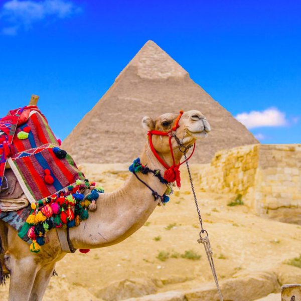 2 Days in Cairo and Luxor